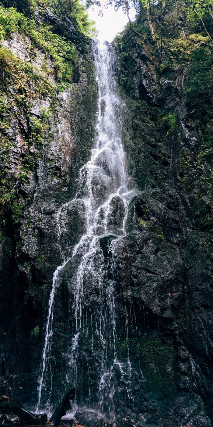 Wasserfall in Wald